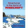 Adventures in the World of Minecraft