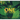 One Tiny Treefrog: A Countdown to Survival