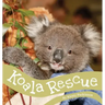 Koala Rescue