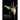 Keeping the Praying Mantis: Mantodean Captive Biology, Reproduction, and Husbandry