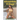 Island Girls Trilogy: The complete series of the strangest harem adventure story