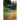 The Field