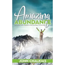 Amazing Abundance: For Those Who Struggle Living Paycheck to Paycheck