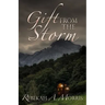 Gift from the Storm