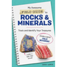 My Awesome Field Guide to Rocks and Minerals: Track and Identify Your Treasures