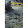 Perilous Realms: Celtic and Norse in Tolkien's Middle-earth