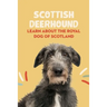 Scottish Deerhound: Learn About The Royal Dog of Scotland: Things You Didn't Know about the Scottish Deerhound Dog