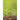 The Good Life
