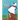 A Cat Named Cow