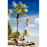Papa Mike's Cook Islands Handbook Second Edition