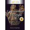 Unremembered Wings