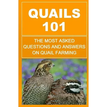 Quails 101: The Most Asked Questions And Answers On Quail Farming