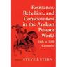 Resistance, Rebellion Andean World