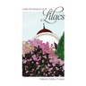 Under the Influence of Lilacs