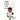 The Life You Get: A Memoir of Recovery, Reward, and Reflection