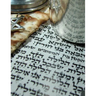 The Freedom Haggadah