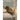 Primate Ethnographies: Fieldwork from Across the Globe