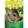 Daisy: The True Story of an Amazing 3 Legged Chinchilla