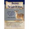 Discover The Land Of Israel: Explore The Stories Behind The Biblical Stories