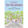 Charlotte's New York Adventure: A Meeting in Midtown