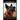 Red Heeler Training Book for Dogs & Puppies By D!G THiS Dog Training. Easy Training * Fast Results: Dog Training Begins From the Car Ride Home. Red He