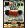 Woolly Bear the Banded Caterpillar: Life Cycle, Friends and Adventures