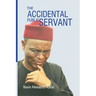 The Accidental Public Servant