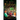 The Puzzled Mystery Adventure Series: Books 1-3: The Puzzled Collection
