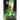 Recurve