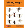 Solitary wasps