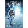 Solar Winter