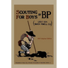 Scouting For Boys