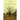 The Appalachian Plays