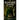 The Bohemian Grove: Facts & Fiction