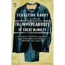 The Whereabouts of Eneas McNulty