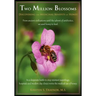 Two Million Blossoms: Discovering the Medicinal Benefits of Honey