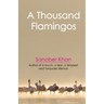 A Thousand Flamingos