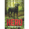 Hero: Rescue Mission