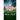A History of White Hall: House of Clay