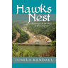 Hawks Nest: Holocaust in the Hills of West Virginia