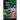 Behind the Hedge