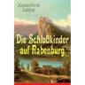 Die Schloßkinder auf Rabenburg: Kinder- und Jugendroman