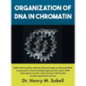 Organization of DNA in Chromatin