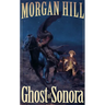 Ghost of Sonora