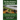 The River Batteries at Fort Donelson: Construction, Armament and Battles, 1861-1862