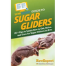HowExpert Guide to Sugar Gliders: 101+ Tips to Learn How to Get, Raise, and Care for Sugar Gliders as Pets
