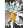 Fast Track To Life Coaching: A Certification & Training Workbook