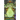 Lime Green Ghost