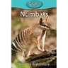 Numbats