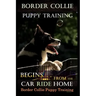Border Collie Puppy Training Begins. . . From the Car Ride Home: Border Collie Puppy Training